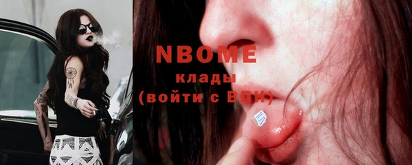 стаф Бородино