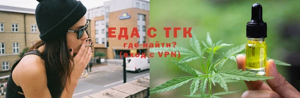 стаф Бородино
