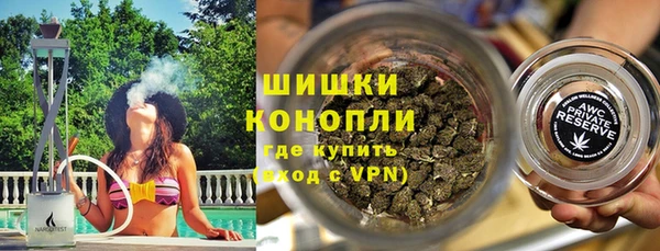 стаф Бородино
