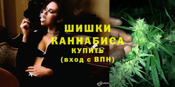стаф Бородино