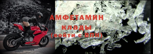 стаф Бородино