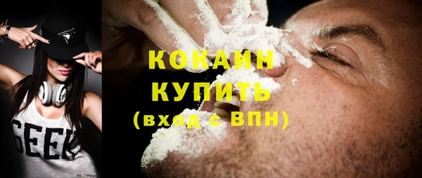 стаф Бородино