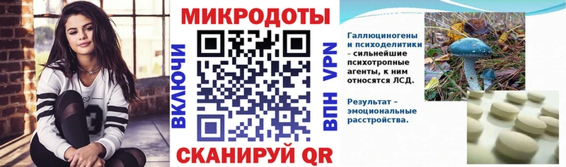 дарнет шоп  Киренск  Псилоцибиновые грибы GOLDEN TEACHER 